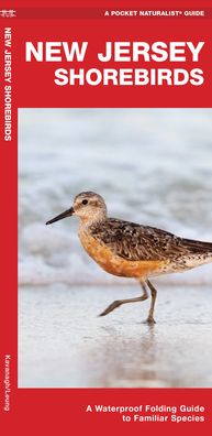 Cover for Waterford Press Waterford Press · New Jersey Shorebirds: A Folding Guide to Familiar Species - Pocket Naturalist Guides (Pamphlet) (2022)