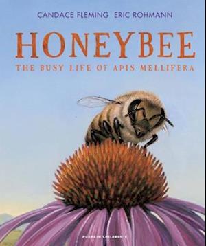 Honeybee: The Busy Life of Apis Mellifera - Candace Fleming - Książki - Pushkin Children's Books - 9781782694090 - 4 maja 2023