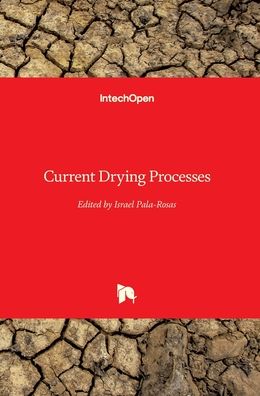 Cover for Israel Pala-Rosas · Current Drying Processes (Innbunden bok) (2020)