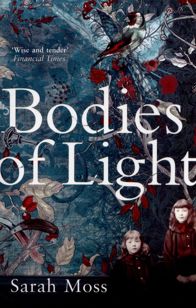 Cover for Sarah Moss · Bodies of Light (Paperback Book) (2015)