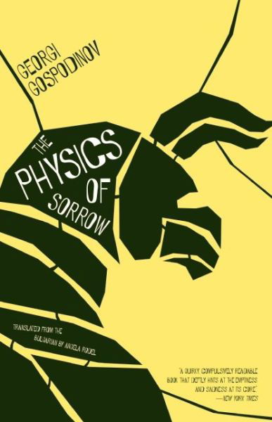 Cover for Georgi Gospodinov · The Physics Of Sorrow (Paperback Bog) (2015)