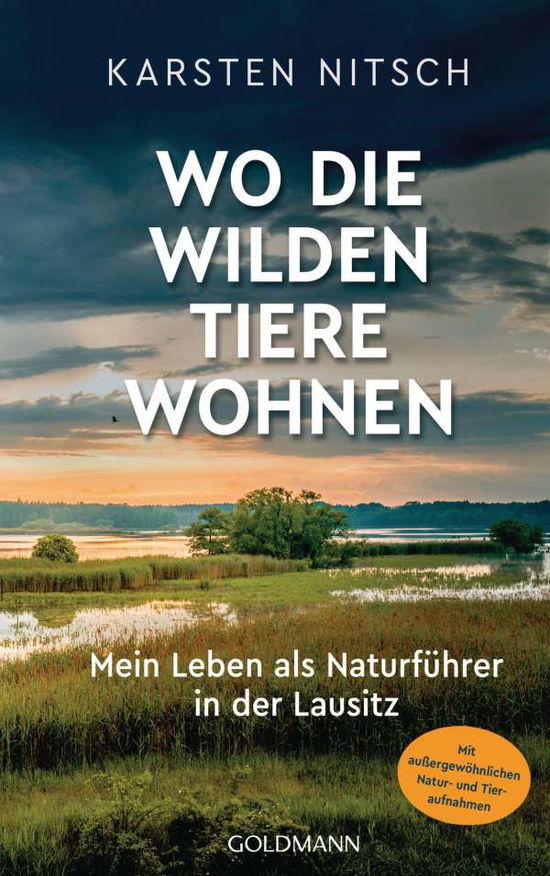 Cover for Nitsch · Wo die wilden Tiere wohnen (Book)