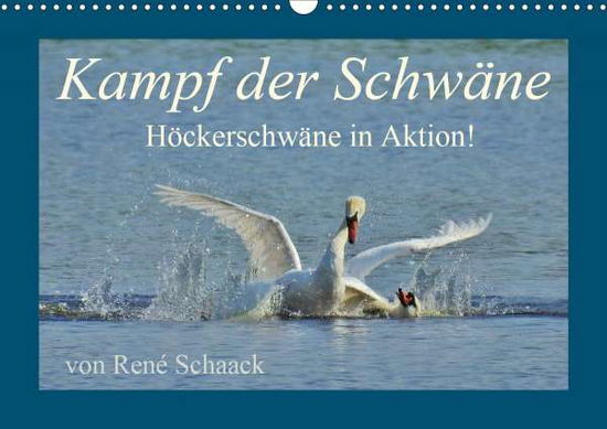 Cover for Schaack · Kampf der Schwäne. Höckerschwän (Book)