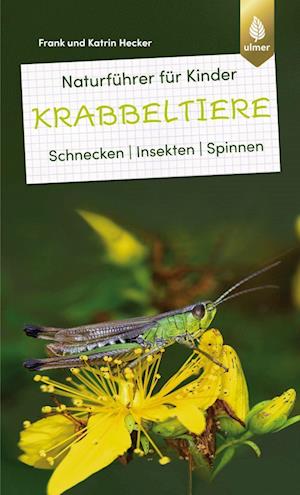 Cover for Frank und Katrin Hecker · Naturführer für Kinder: Krabbeltiere (Paperback Book) (2022)