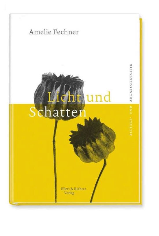Cover for Fechner · Licht und Schatten (Buch)