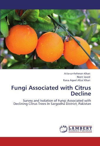 Cover for Rana Aqeel Afzal Khan · Fungi Associated with Citrus Decline: Survey and Isolation of Fungi Associated with Declining Citrus Trees in Sargodha District, Pakistan (Taschenbuch) (2012)
