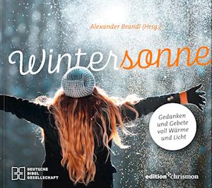 Cover for Alexander Brandl · Wintersonne (Book) (2024)