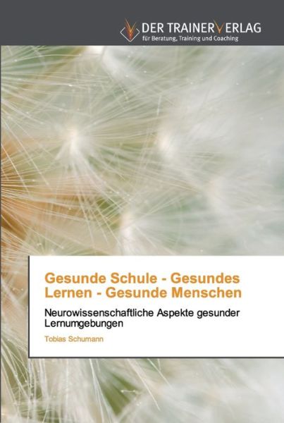 Gesunde Schule - Gesundes Lern - Schumann - Bücher -  - 9786202494090 - 23. November 2018