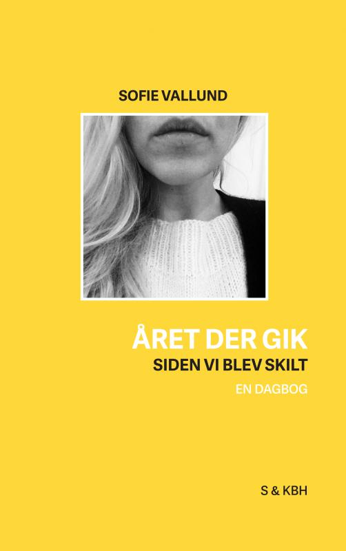 Året der gik, siden vi blev skilt - Sofie  Vallund - Bøger - Saxo Publish - 9788740468090 - 7. marts 2021