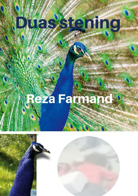 Cover for Reza Farmand; Reza Farmand · Duas stening (Paperback Book) [1st edition] (2020)