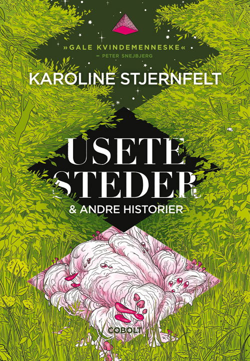 Cover for Karoline Stjernfelt · Usete steder (Sewn Spine Book) [1st edition] (2019)