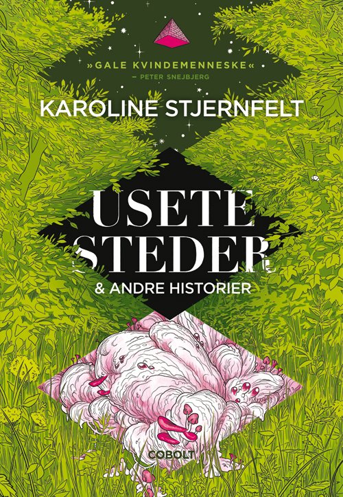 Cover for Karoline Stjernfelt · Usete steder (Sewn Spine Book) [1th edição] (2019)