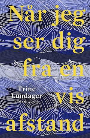 Cover for Trine Lundager · Når jeg ser dig fra en vis afstand (Inbunden Bok) [1:a utgåva] (2024)