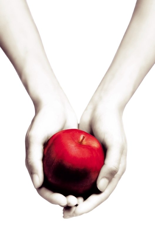 Cover for Stephenie Meyer · Twilight: Twilight (White Cover) (Paperback Book) [1st edition] (2010)