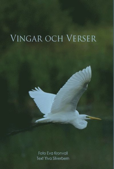 Cover for Ylva Silverbern · Vingar och verser (Bound Book) (2020)