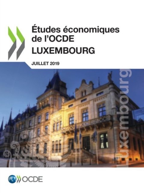 Etudes Economiques de l'Ocde: Luxembourg 2019 - Oecd - Kirjat - Organization for Economic Co-operation a - 9789264772090 - keskiviikko 14. elokuuta 2019