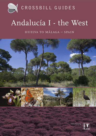 Cover for Dirk Hilbers · Western Andalucia: From Huelva to Malaga (Paperback Book) (2017)