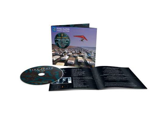 Cover for Pink Floyd · A Momentary Lapse Of Reason (CD) [2019 Remix edition] (2021)