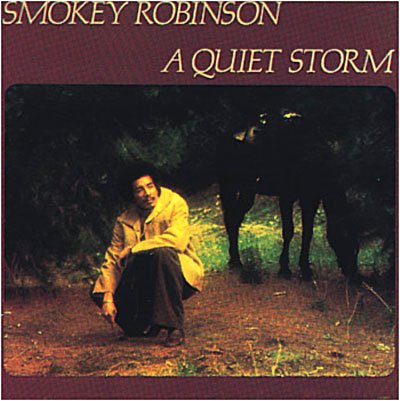 Cover for Robinson Smokey · A Quiet Storm (LP) [180 gram, Reissue edition] (2009)