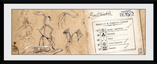 Cover for Fantastic Beasts · Fantastic Beasts: Bow Truckle (Stampa In Cornice 75x30 Cm) (CD)