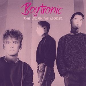 Cover for Boytronic · The Working Model (LP) (2025)