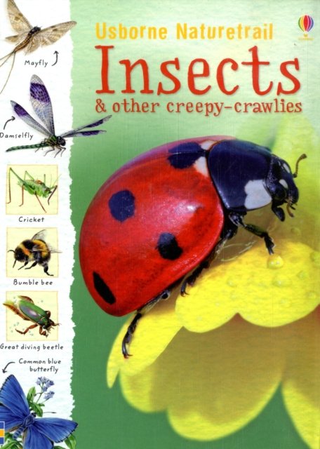 Nature Trail: Insects - Rachel Firth - Books - Usborne Publishing Ltd - 9780746090091 - June 27, 2008