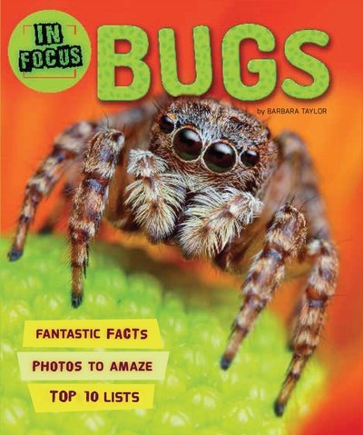 Cover for Kingfisher · In Focus: Bugs - In Focus (Paperback Bog) [Main Market Ed. - UK edition] (2019)