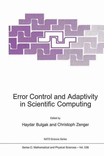 Cover for Hayder Bulgak · Error Control and Adaptivity in Scientific Computing - NATO Science Series C (Paperback Book) [1999 edition] (1999)