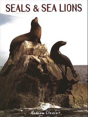 Seals and Sea Lions - Creatures of the Ocean - Andrew Cleave - Książki - Mason Crest Publishers - 9781422243091 - 2019