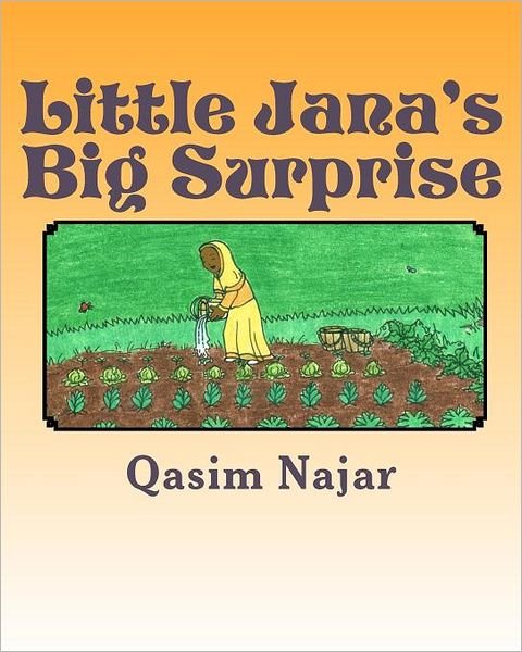 Cover for Qasim Najar · Little Jana's Big Surprise (Paperback Bog) (2010)