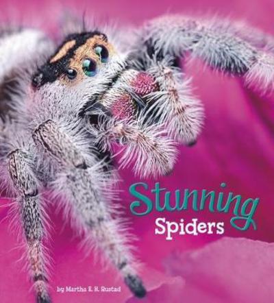 Stunning Spiders - Marvellous Minibeasts! - Martha E. H. Rustad - Books - Capstone Global Library Ltd - 9781474736091 - January 25, 2018