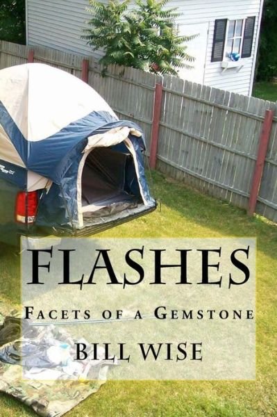Flashes - Bill Wise - Books - Createspace Independent Publishing Platf - 9781530658091 - April 10, 2016
