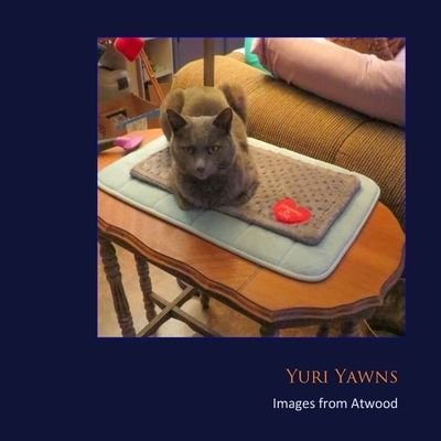 Cover for Atwood Cutting · Yuri Yawns (Paperback Bog) (2016)