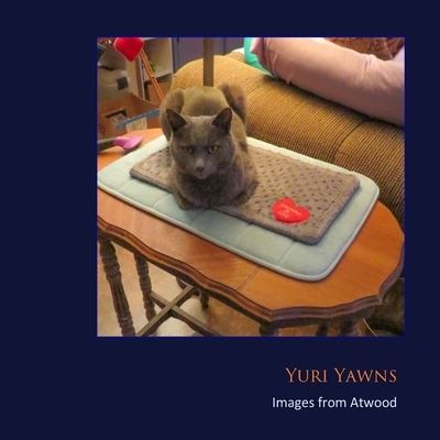 Cover for Atwood Cutting · Yuri Yawns (Paperback Book) (2016)