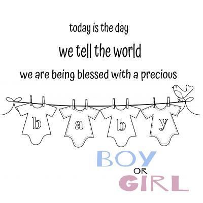 Cover for Barefoot Buddies Books · Today is the day we tell the world! Gender Reveal (Paperback Book) (2017)