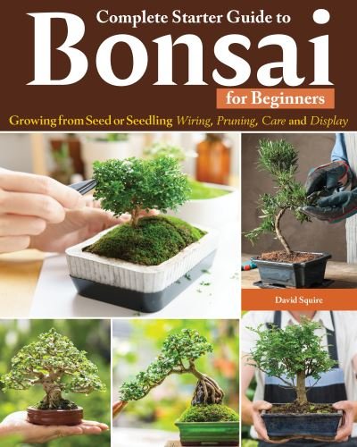 Cover for David Squire · Complete Starter Guide to Bonsai: Growing from Seed or Seedling--Wiring, Pruning, Care, and Display (Paperback Book) (2024)