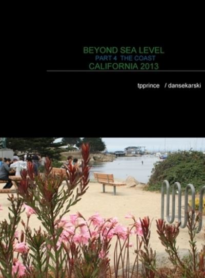 Cover for Dan Sekarski · Beyond Sea Level Part 4 the Coast California 2013: The Coast California 2013 (Hardcover bog) (2021)