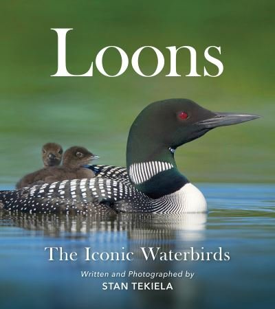 Cover for Stan Tekiela · Loons: The Iconic Waterbirds - Favorite Wildlife (Paperback Bog) (2021)