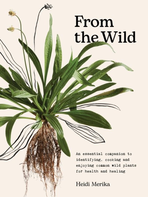 Cover for Heidi Merika · From the Wild: An essential companion to identifying, cooking and enjoying common wild plants for health and healing (Hardcover Book) (2024)