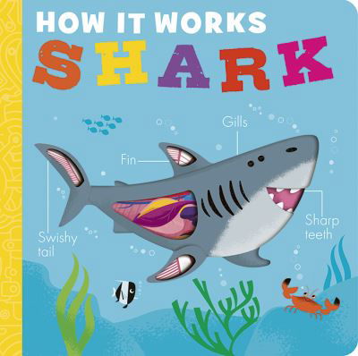 Cover for Molly Littleboy · How it Works: Shark - How It Works (Board book) (2024)