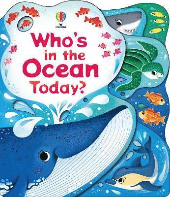 Cover for Alice Beecham · Who's in the Ocean Today? - Who's in ... Today? (Board book) (2025)