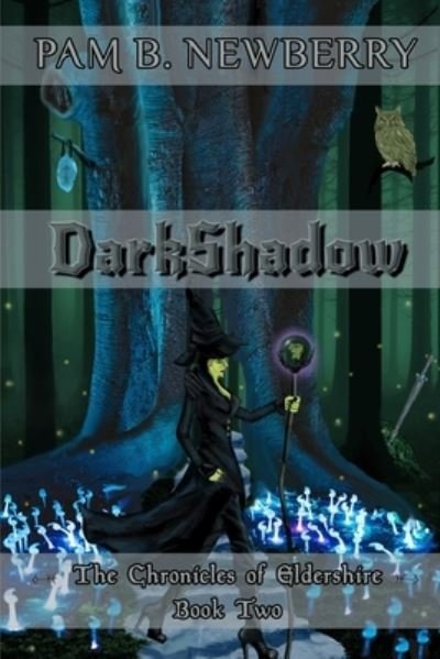 Cover for Pam B Newberry · DarkShadow (Paperback Book) (2019)