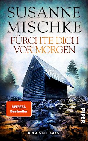 Cover for Mischke · Fürchte dich vor morgen (Book)