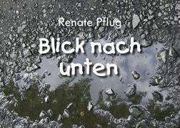 Cover for Pflug · Blick nach unten (Book)