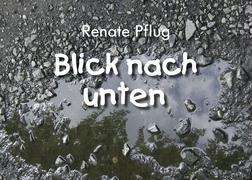 Cover for Pflug · Blick nach unten (Book)