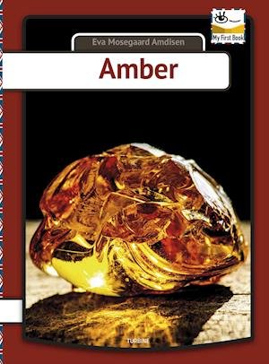 Cover for Eva Mosegaard Amdisen · My first book: Amber (Hardcover bog) [1. udgave] (2019)