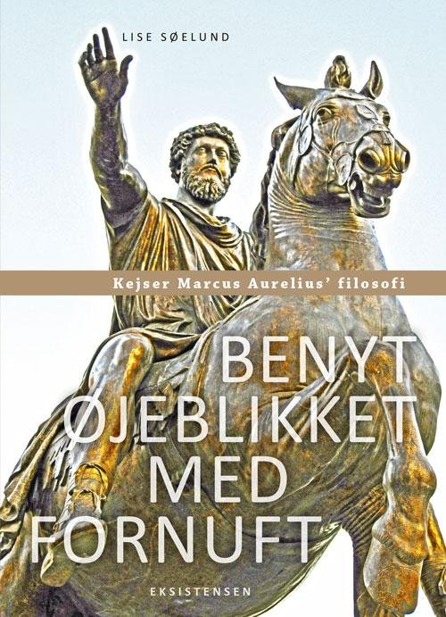 Cover for Lise Søelund · Benyt øjeblikket med fornuft (Poketbok) [1:a utgåva] (2016)