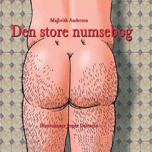 Cover for Majbrith Andersen · Den store numsebog (Bound Book) [3e uitgave] (2019)