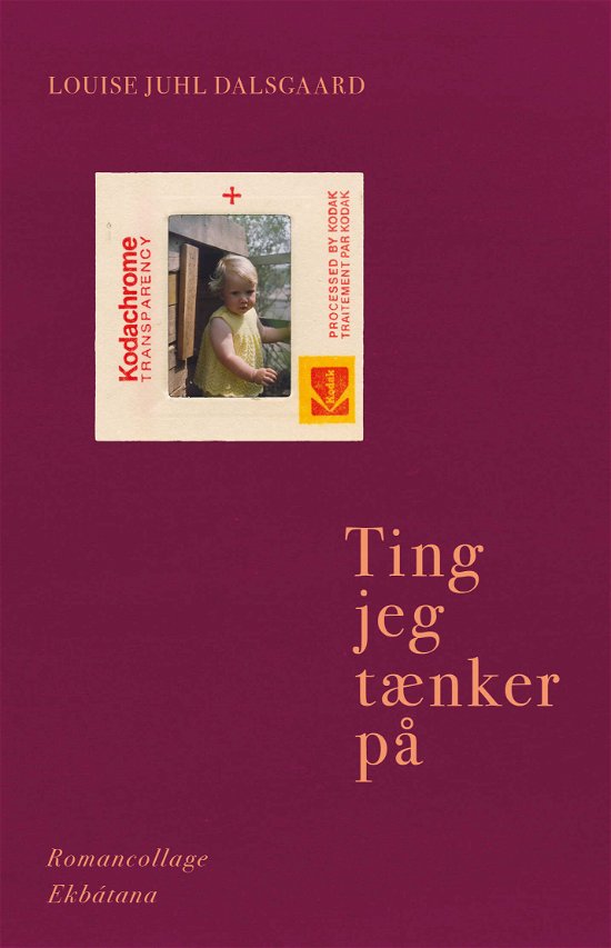 Cover for Louise Juhl Dalsgaard · Ting jeg tænker på (Sewn Spine Book) [1e uitgave] (2022)