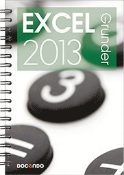 Cover for Eva Ansell · Inspira: Excel 2013 Grunder (Spiralbuch) (2013)